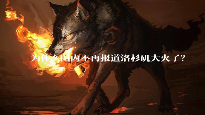 为什么国内不再报道洛杉矶大火了？