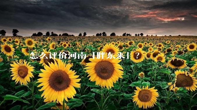 怎么评价河南「胖东来」？