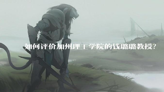 如何评价加州理工学院的钱璐璐教授？