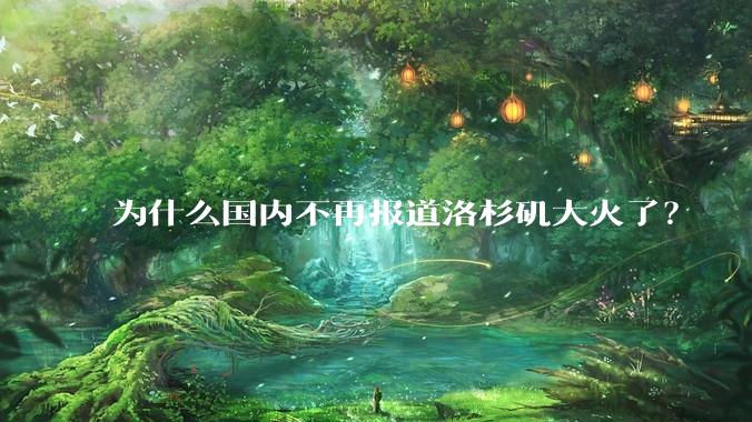 为什么国内不再报道洛杉矶大火了？