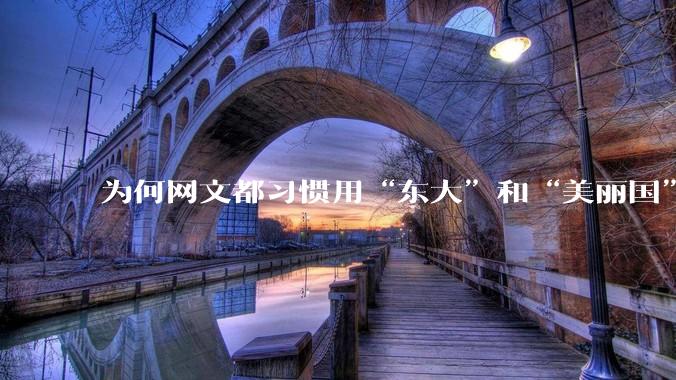 为何网文都习惯用“东大”和“美丽国”替代中国和美国？