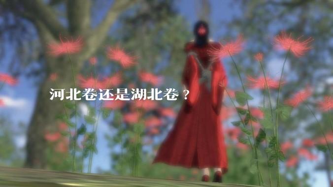 河北卷还是湖北卷?