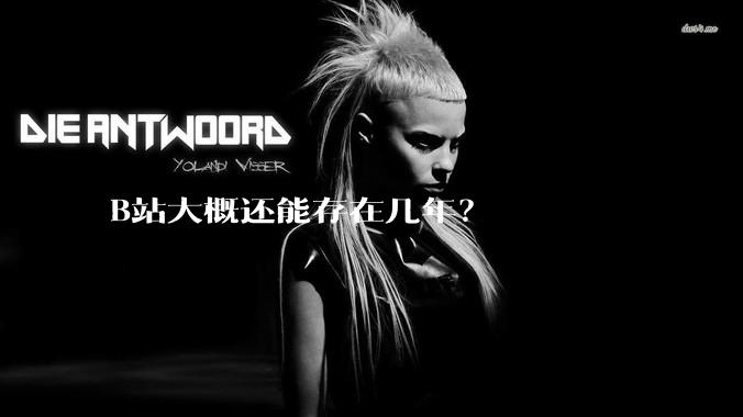 B站大概还能存在几年？