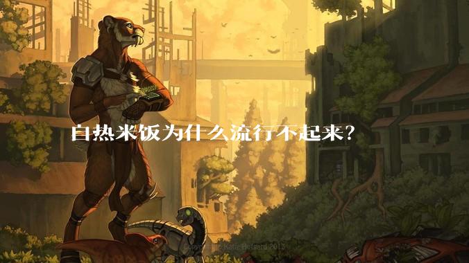 自热米饭为什么流行不起来？