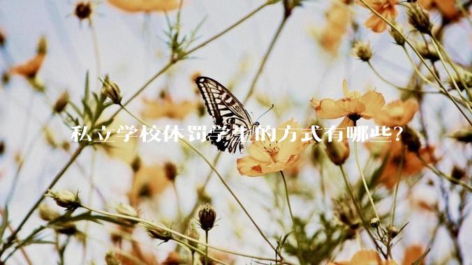 私立学校体罚学生的方式有哪些？