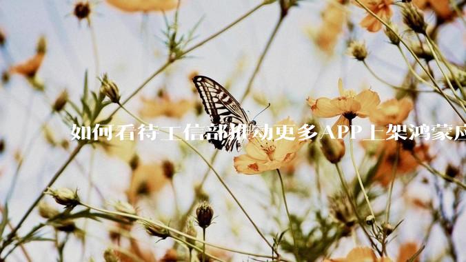 如何看待工信部推动更多APP上架鸿蒙应用商店？