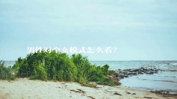 男性对全女模式怎么看？