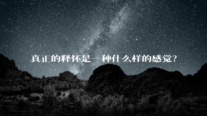 真正的释怀是一种什么样的感觉？