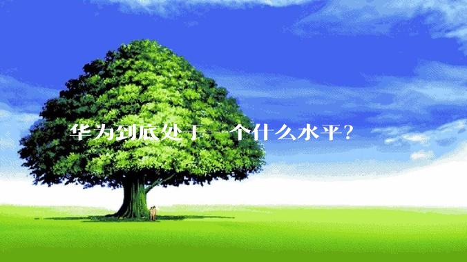 华为到底处于一个什么水平？