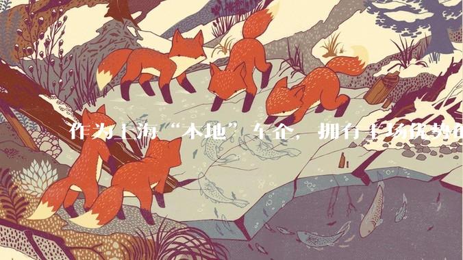 作为上海“本地”车企，拥有主场优势的特斯拉Tesla为什么不参加2025上海车展？